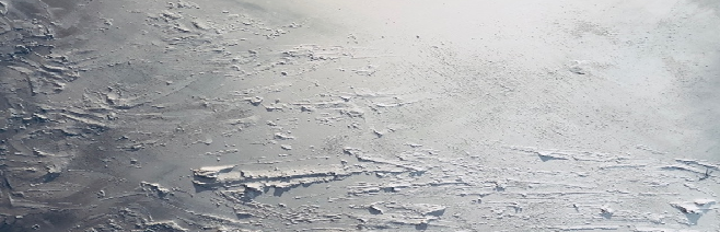 Kunstwerk Elisabeth Schechner